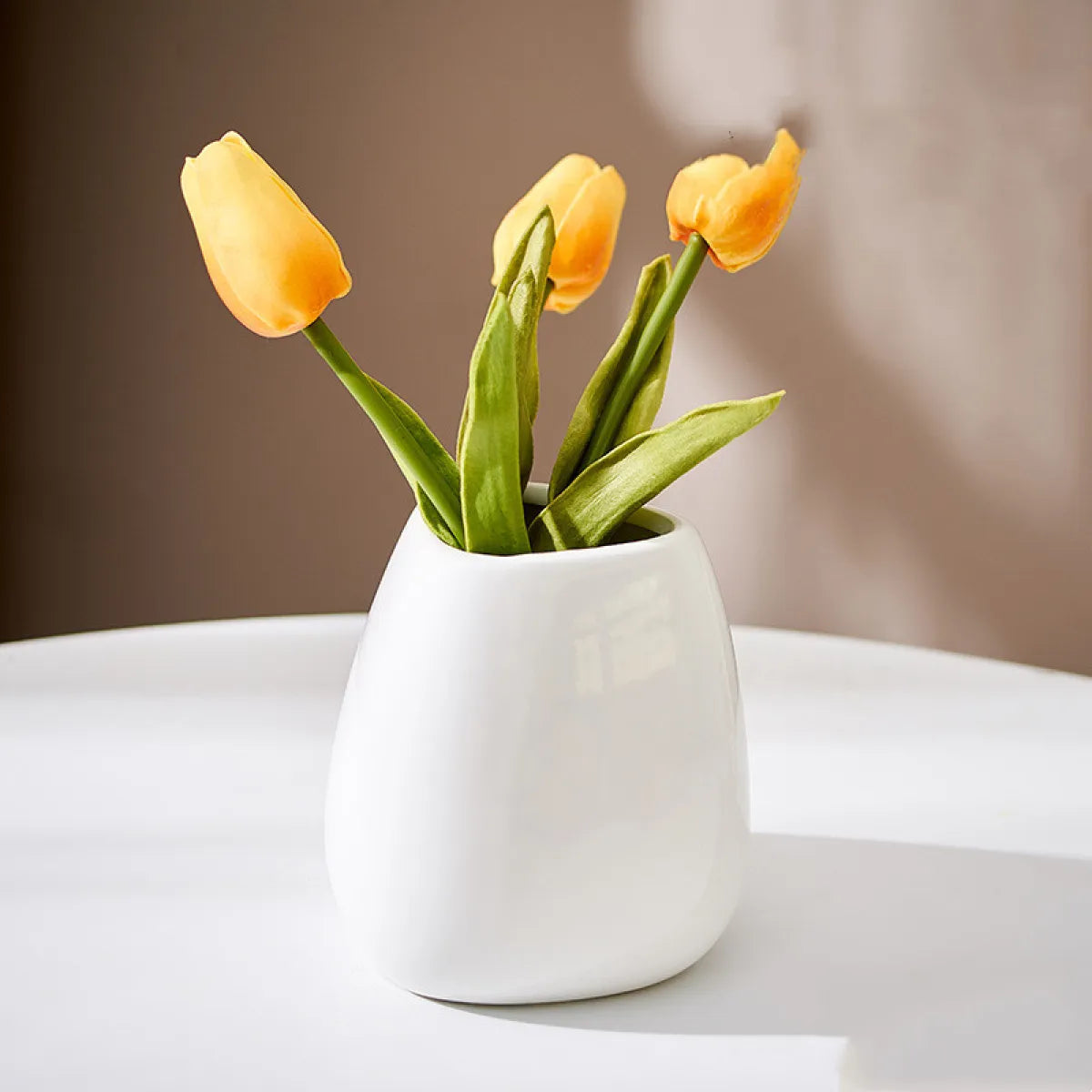 Nordic Light Luxury Ceramic Vase Moderne Vases
