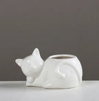 Ceramic Planter for Succulents and Cacti Moderne Vases