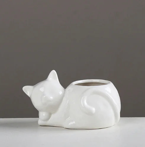 Ceramic Planter for Succulents and Cacti Moderne Vases