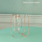Creative Glass and Iron Vases Moderne Vases