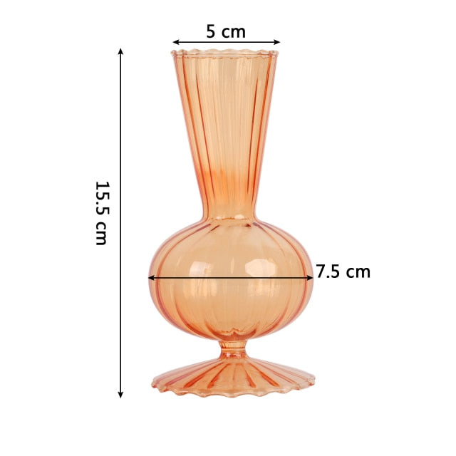 Hydroponic Plant Glass Moderne Vases