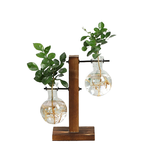 Glass Hydroponic Terrarium Moderne Vases