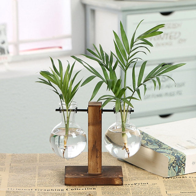 Hydroponic Plant Vases Moderne Vases