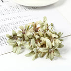 Silk Magnolia Orchids Bouquets Moderne Vases
