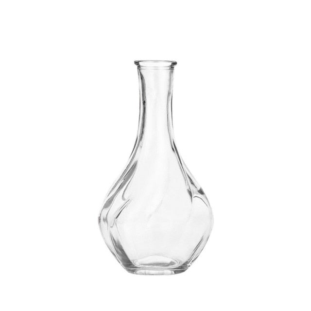 Hydroponic Plant Glass Moderne Vases