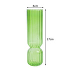 Hydroponic Plant Glass Moderne Vases