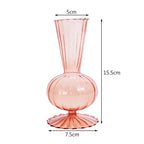 Hydroponic Plant Glass Moderne Vases