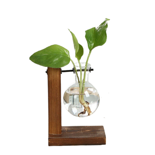 Hydroponic Plant Vases Moderne Vases