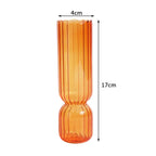 Hydroponic Plant Glass Moderne Vases