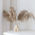 Body Ceramics Vases Moderne Vases