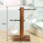 Glass Hydroponic Terrarium Moderne Vases