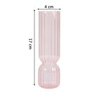 Hydroponic Plant Glass Moderne Vases