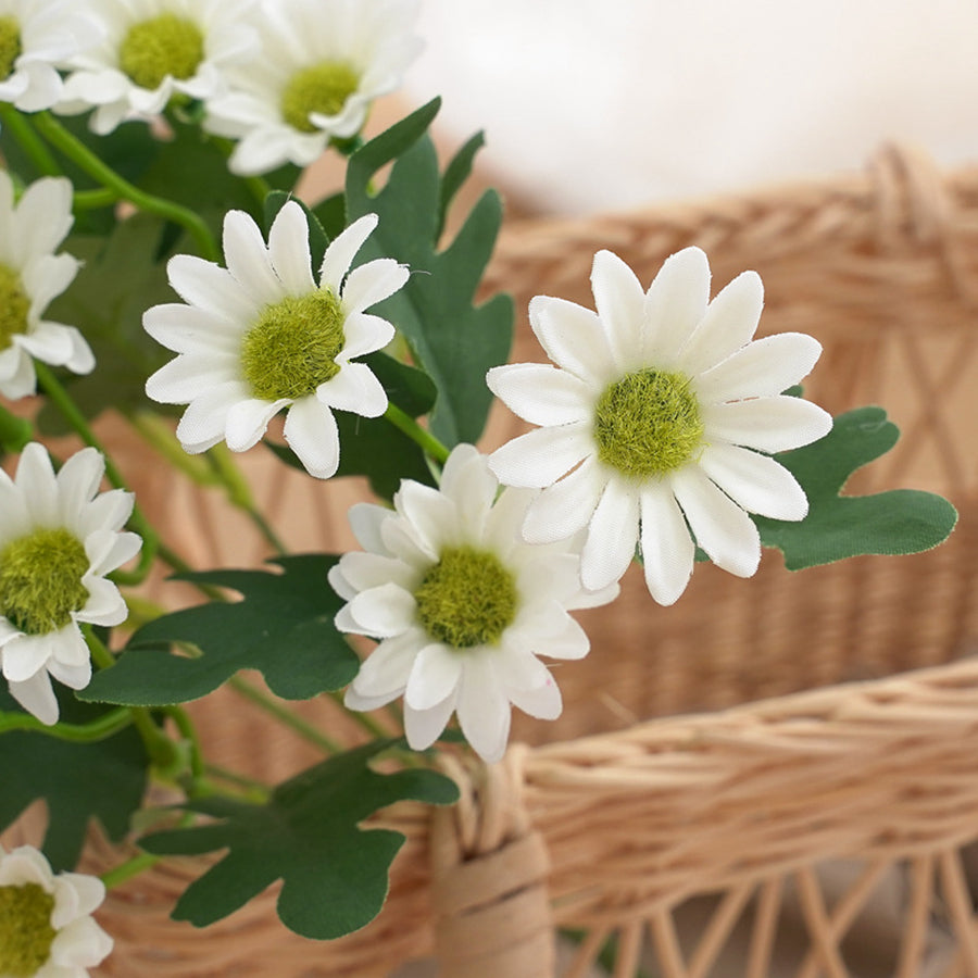 Silk Daisy Flowers Moderne Vases