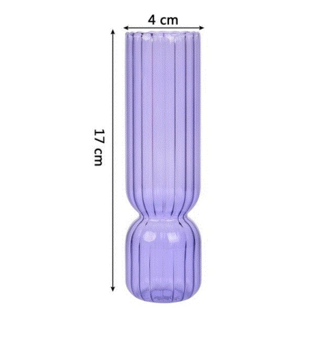 Hydroponic Plant Glass Moderne Vases