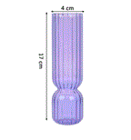 Hydroponic Plant Glass Moderne Vases